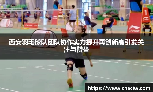 西安羽毛球队团队协作实力提升再创新高引发关注与赞誉