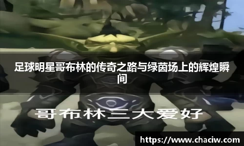 足球明星哥布林的传奇之路与绿茵场上的辉煌瞬间